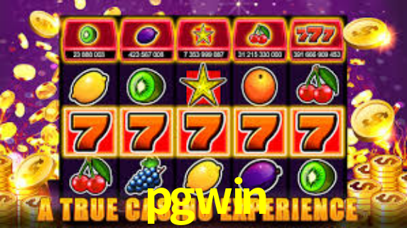 pgwin,pgwin plataforma