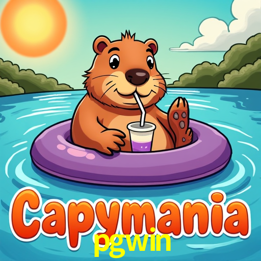 Flash Promotion pgwin